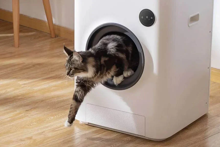 cat self cleaning litter box